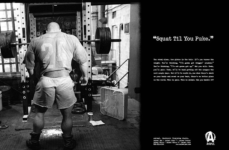 squat till you puke illustration, Sports, Bodybuilding, HD tapet