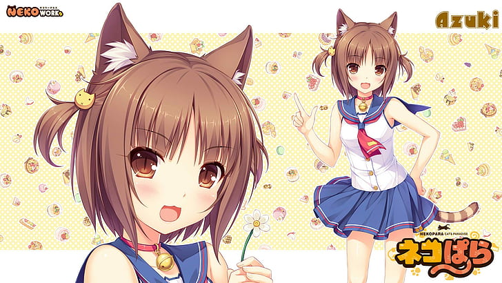 Сайори, момиче-котка, Neko Para, Neko Works, Azuki, nekomimi, HD тапет