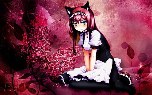 nekomimi, empregada, roupa de empregada, meninas anime, orelhas de gato, HD papel de parede HD wallpaper
