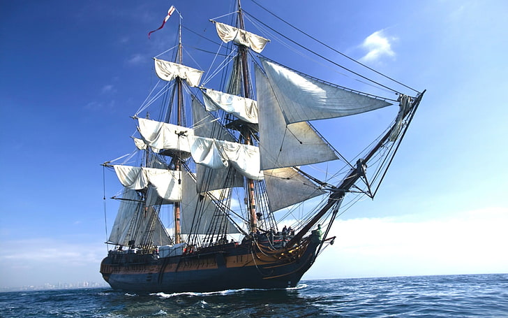 braunes und weißes Segelboot, Segelschiff, Meer, Fahrzeug, HD-Hintergrundbild