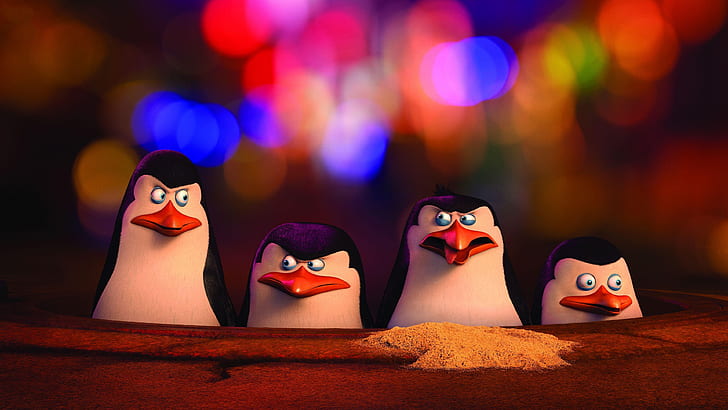 I pinguini del Madagascar Film, I pinguini del Madagascar, pinguini, Sfondo HD