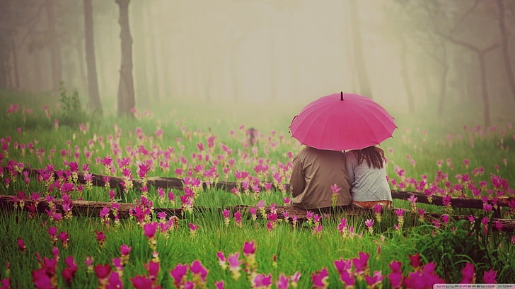 deux, personne, assis, à côté de, violet, fleur française, champ, pendant, jour, photographie nature, amour, Fond d'écran HD