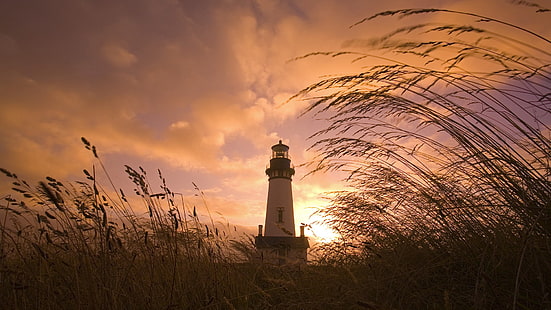 Lighthouse Sunset Grass HD, природа, залез, трева, фар, HD тапет HD wallpaper
