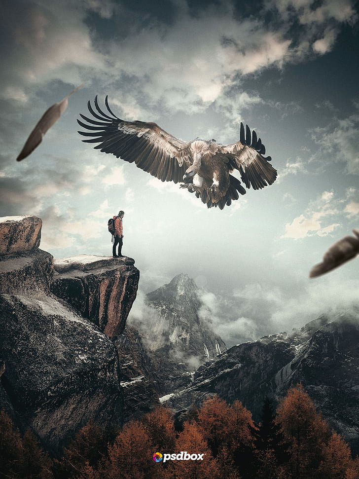 Andrei Oprinca, photo manipulation, Photoshop, Psdbox, eagle, men, mountains, nature, vultures, HD wallpaper