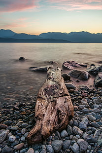 brown wood log near body of water during daytime, Local, Log, brown wood, body of water, daytime, Beautiful, British Columbia, Canada, Clouds, Cloudy, Coast, Beach, Day, Environment, Forest  Green, HDR, Harrison Lake, Lake  Hills, Idyllic, Landscape, Mountain, Natural, Nature, Outdoor, Park, Pebbles, River, Riverside, Rocks, Rocky, Rural, Scene, Scenery, Scenic, Shore, Silence, Sky  Stone, Sunrise  Sunset, Tourism, Transparent, Travel, Trees, Vacation, View, Water, Wild, Wilderness, Wood, lake, outdoors, rock - Object, sunset, scenics, sky, summer, HD wallpaper HD wallpaper