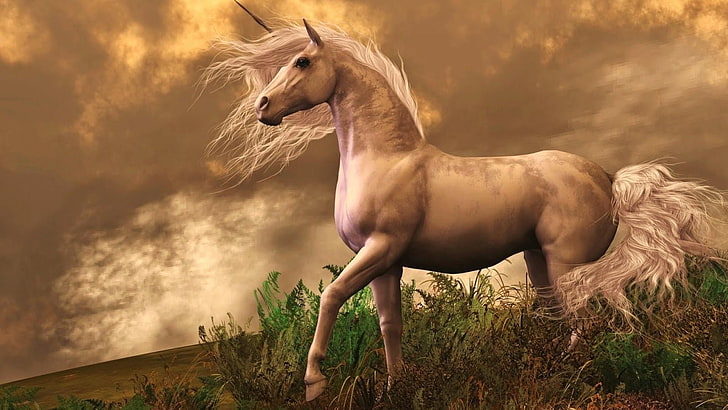 kuda, unicorn, makhluk legendaris, cerita rakyat, mitos, mitologi, mistik, mistis, rumput, alam mimpi, seni fantasi, dongeng, makhluk mitos, ilustrasi, seni dongeng, Wallpaper HD