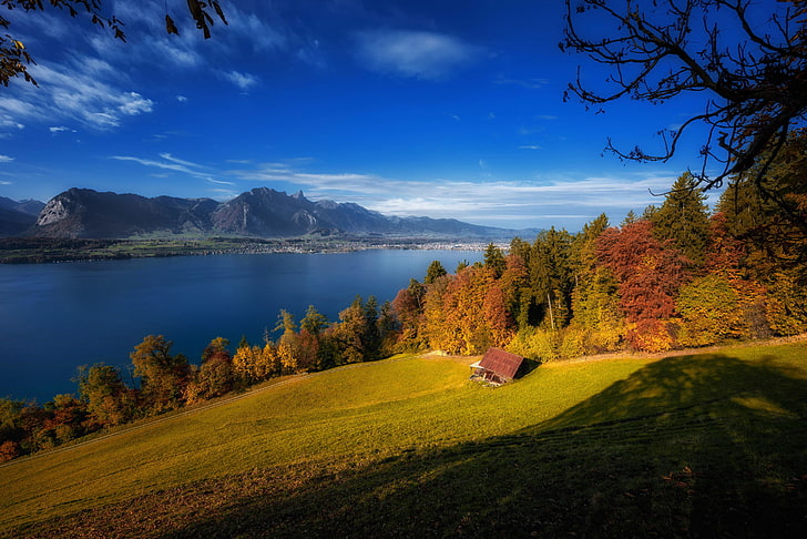 ต้นไม้ใบเขียว, ฤดูใบไม้ร่วง, ต้นไม้, ภูเขา, ทะเลสาบ, สวิตเซอร์แลนด์, ทะเลสาบทูน, Bernese Alps, เทือกเขา Bernese Alps, Bernese Oberland, Thun, Canton of Bern, Tun, วอลล์เปเปอร์ HD
