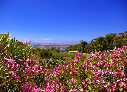 السماء ، الزهور ، الجبال ، الجزيرة ، مالطا ، جوزو، خلفية HD HD wallpaper