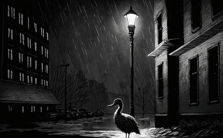 duck noir, duck, noir, lamp post, HD wallpaper