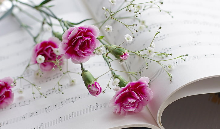 ピンクのバラ、カーネーション、カスミソウ、楽譜、音楽、 HDデスクトップの壁紙