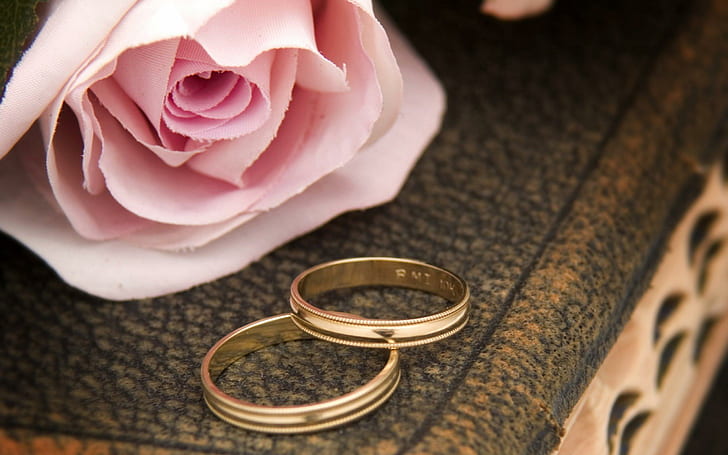 One Pink Rose with Two Wedding Rings, pink-rose, rings, a-book, HD wallpaper