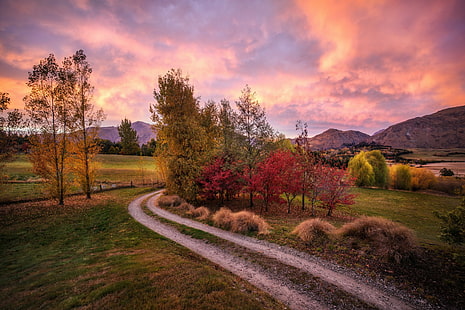Nueva Zelanda, montañas, Nueva Zelanda, montañas, colinas, camino, otoño, mañana, Fondo de pantalla HD HD wallpaper