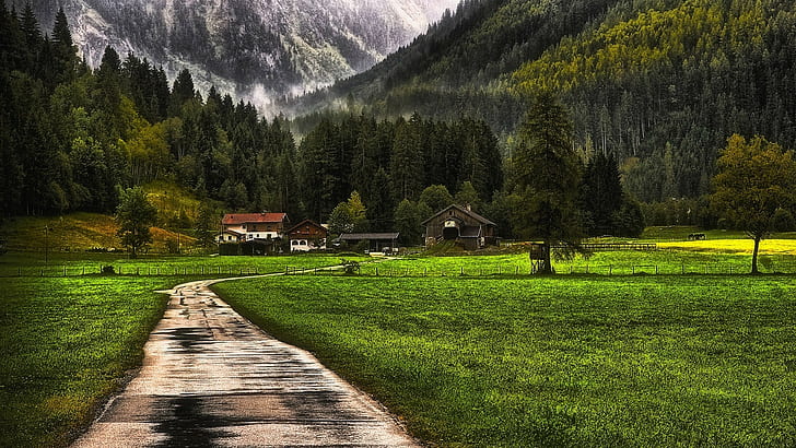 nature landscape mountain forest farm grass snow fence mist trees barns dirt road path, HD wallpaper