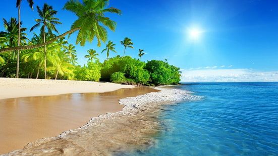 أشجار شاطئ هاواي ، ساحل النخيل ، أمواج المحيط ، الشاطئ الرملي ، الشمس الاستوائية ، السماء الزرقاء ، 4K Ultra HD Wallpaper 38400 × 2160، خلفية HD HD wallpaper