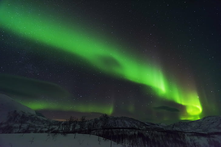 Aurora boreal, lofoten, lofoten, lofoten, aurora boreal, noche, estrella - espacio, aurora polaris, astronomía, naturaleza, espacio, ártico, nieve, Fondo de pantalla HD
