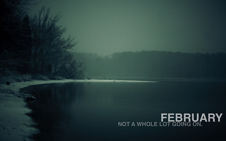 body of water near trees with text overlay, February, month, nature, cold, fuckscape, humor, mist, lake, snow, HD wallpaper