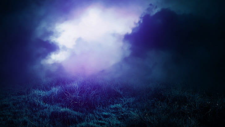 трева, мъгла, HD тапет