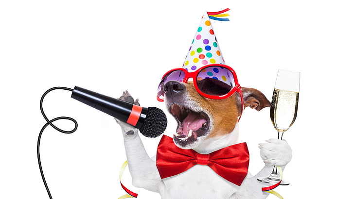 año nuevo, feliz cumpleaños, fiesta, fiesta de cumpleaños, cumpleaños, champán, canto, cantar, feliz año nuevo, perro, nochevieja, karaoke, terrier, payaso, jack russel, gafas, jack russel terrier, Fondo de pantalla HD