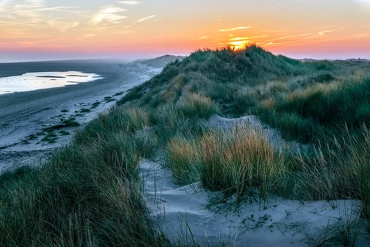 Nederland, Dunes, Friesland, Ameland, HD wallpaper