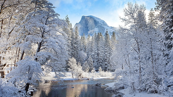 grünblättrige Bäume mit Schnee, Landschaft, Natur, Winter, Fluss, Berge, schneebedeckte Spitze, HD-Hintergrundbild HD wallpaper
