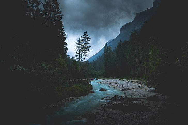 green leafed tree, landscape, forest, overcast, dark, river, nature, mountains, water, HD wallpaper
