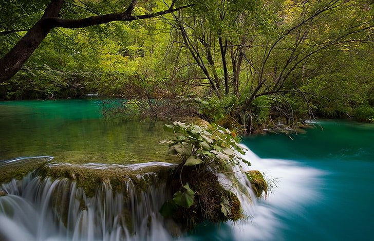 Горска река и малък водопад, природа, гора, HD тапет