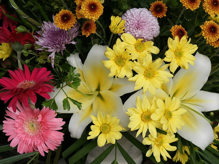 노란 데이지 꽃, 흰색과 노란색 백합, 오렌지 국화 꽃, 분홍색 거베라 데이지 꽃, 국화, 거베라, 꽃, 꽃다발, 구성, HD 배경 화면
