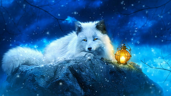 volpe, fantasia, natura, volpe bianca, lanterna, natura, congelamento, ghiaccio, inverno, neve, Sfondo HD HD wallpaper