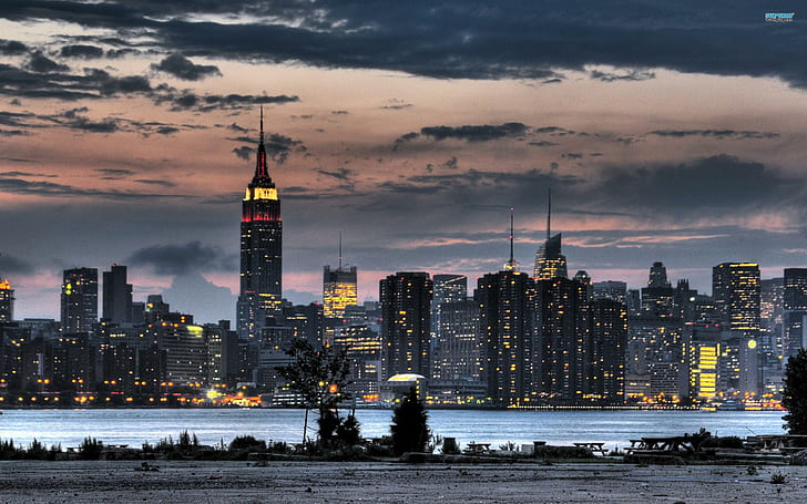 Nueva York, Nueva York !, rascacielos, horizonte de nueva york, animales, Fondo de pantalla HD