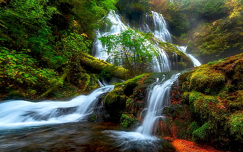 Natural Beauty Panther Creek Falls Columbia River District Skamejnija Washington Usa Hd Wallpaper Para Laptop E Tablet 2560 × 1600, HD papel de parede HD wallpaper