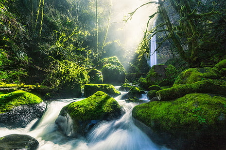Elowah Falls, Columbia River Gorge, Cascata, 4K, Torrente, Foresta, Sfondo HD HD wallpaper