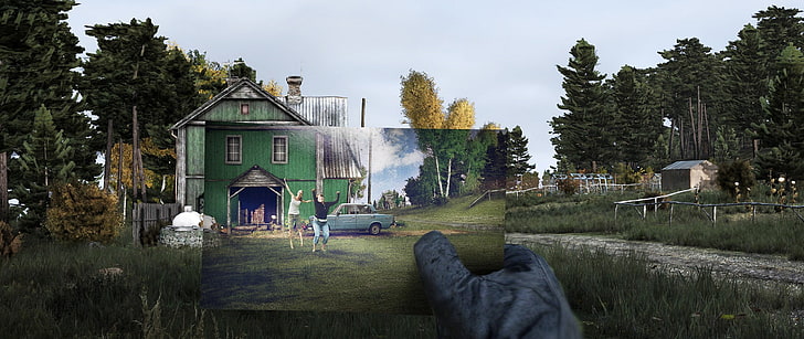 grönt och brunt målat hus, DayZ, videospel, HD tapet