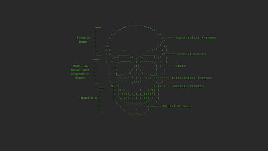 فن ASCII ، جمجمة ، جمجمة وعظام ، هاكرمان، خلفية HD HD wallpaper