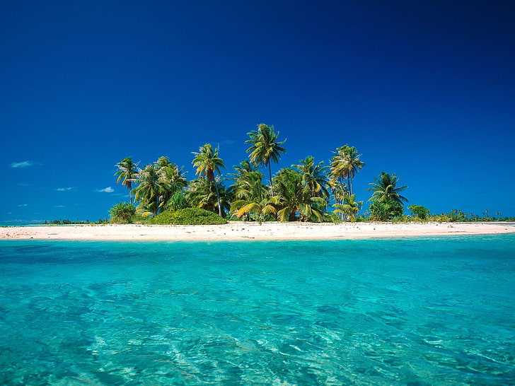 Pohon kelapa di pulau dikelilingi oleh air, pantai, pulau, tropis, Wallpaper HD