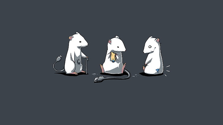 الحيوانات البيضاء USB الفئران الجبن مضحك الفئران الحبل 1366x768 الترفيه مضحك HD الفن ، الحيوانات ، أبيض، خلفية HD