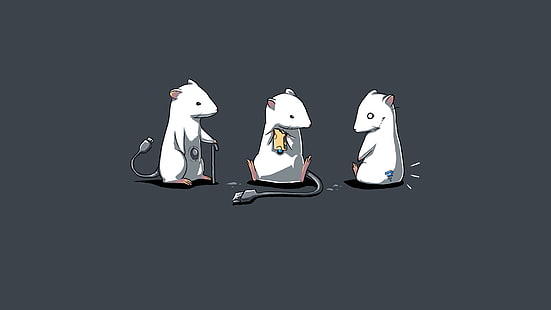 الحيوانات البيضاء USB الفئران الجبن مضحك الفئران الحبل 1366x768 الترفيه مضحك HD الفن ، الحيوانات ، أبيض، خلفية HD HD wallpaper