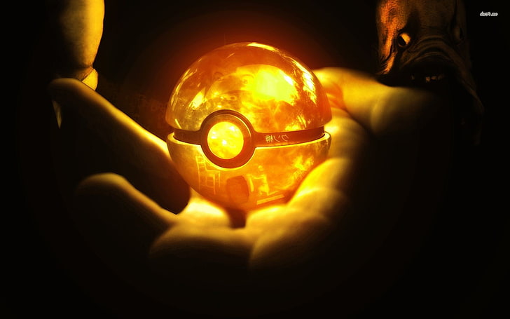 pessoa segurando pokeball LED, Pokémon, Poké Balls, videogame, HD papel de parede