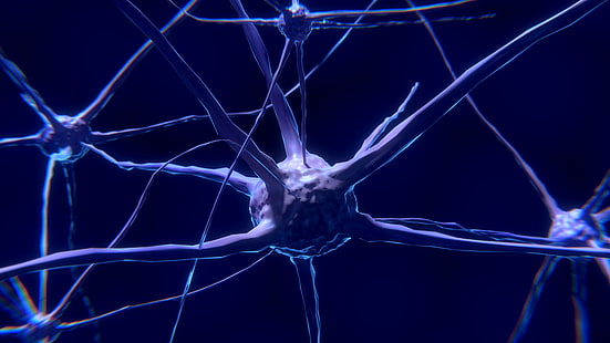 иллюстрация синего вируса, нерв, нейрон, синапс, HD обои HD wallpaper