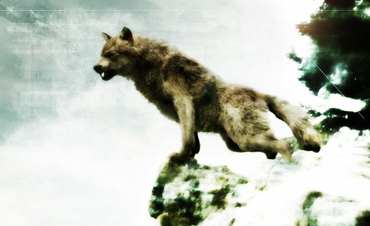 Jacob Black - Werewolf Form, brown wolf painting, Movies, Twilight, werewolf, jacob, HD wallpaper