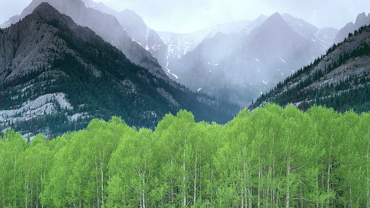 Canadian Rockies, green trees, nature, 1920x1080, mountain, canada, canadian rockies, HD wallpaper