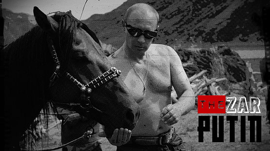 Vladimir Putin, Rússia, monocromático, fazenda de cavalos, cavalo, sem camisa, óculos de sol, presidentes, HD papel de parede HD wallpaper