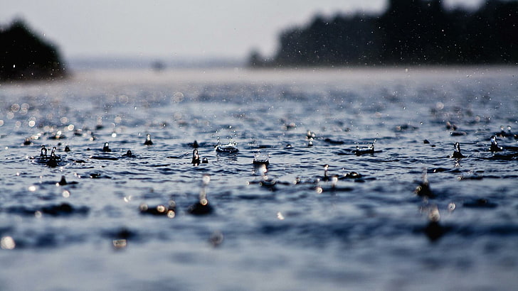 مطر ، قطرة ، يوم ممطر ، تمطر ، قطرات ، بركة مياه، خلفية HD
