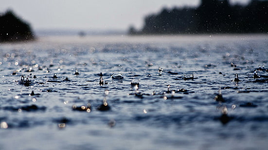 Regen, Tropfen, regnerischer Tag, Regen, Tropfen, Pfütze, HD-Hintergrundbild HD wallpaper