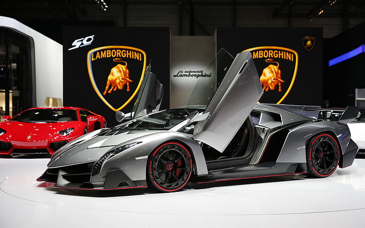 Lamborghini Veneno Aventador HD, lamborghini aventador grigio, automobili, lamborghini, aventador, veneno, Sfondo HD