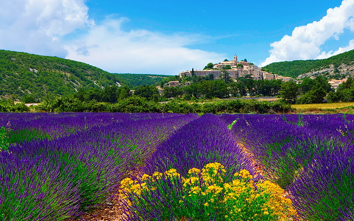 fioletowe kwiatowe pole, niebo, chmury, miasto, Francja, pole, lawenda, Prowansja, gmina, Banon, Roland Gerth, Tapety HD