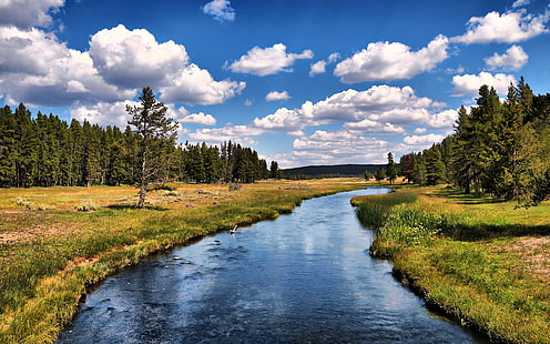 Grizzly River, ríos, cielo, árboles, agua, wyoming, parque nacional de yellowstone, hdr, Fondo de pantalla HD HD wallpaper