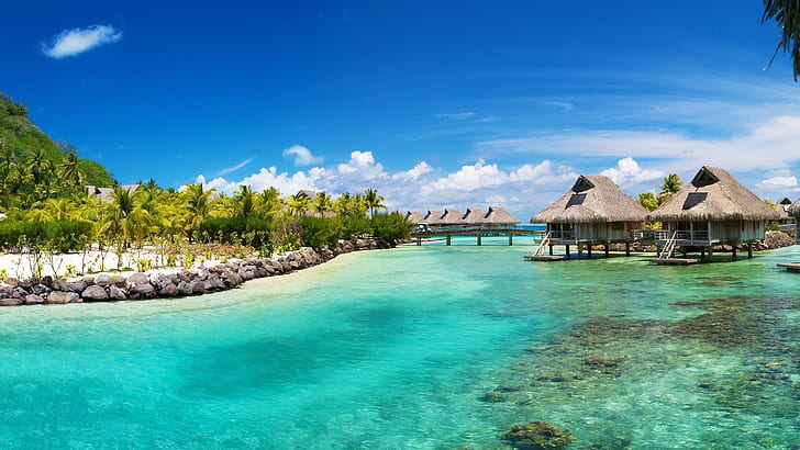 palmeras, isla, mar, naturaleza, Bora Bora, Fondo de pantalla HD