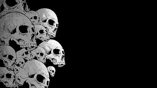 Ilustración del cráneo, cráneo, Fondo de pantalla HD HD wallpaper