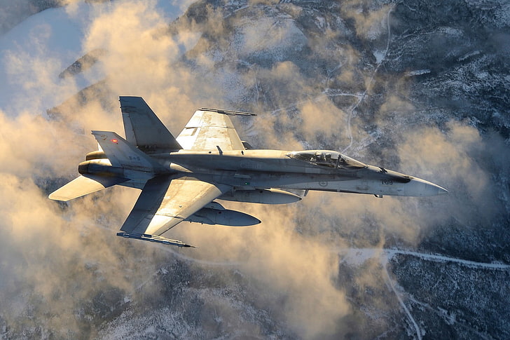braunes Kampfflugzeug, Flugzeug, Düsenjäger, Himmel, Landschaft, McDonnell Douglas F / A-18 Hornet, HD-Hintergrundbild