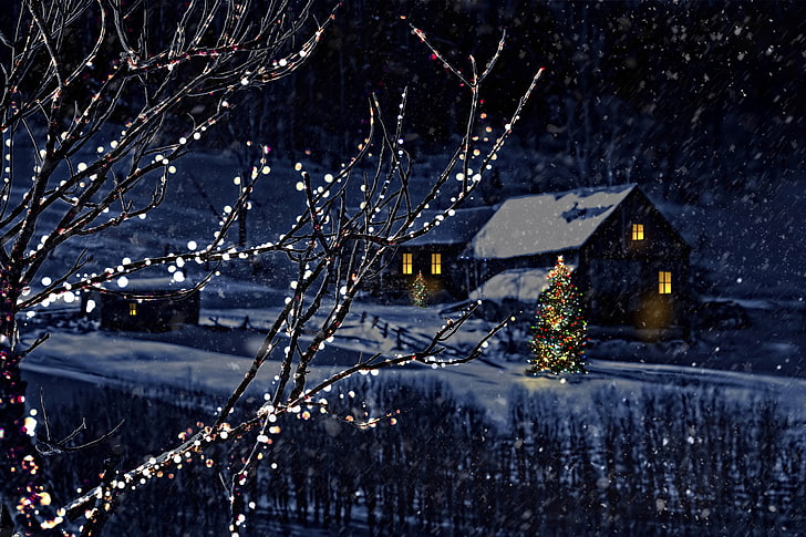白い糸の光、冬、雪、木、都市、都市、木、家、新年、自然、家、町、クリスマスツリー、メリークリスマス、マジッククリスマスナイト、 HDデスクトップの壁紙